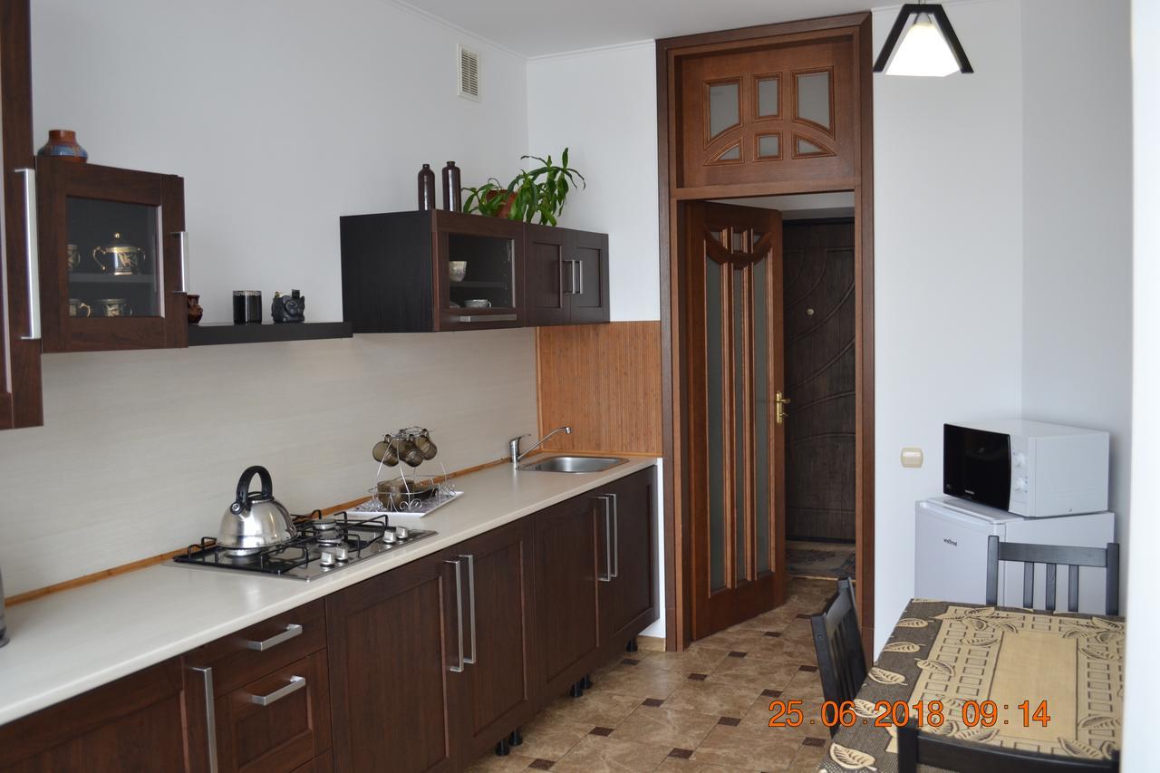 Sunny Apartment In The City Center Truszkavec Kültér fotó